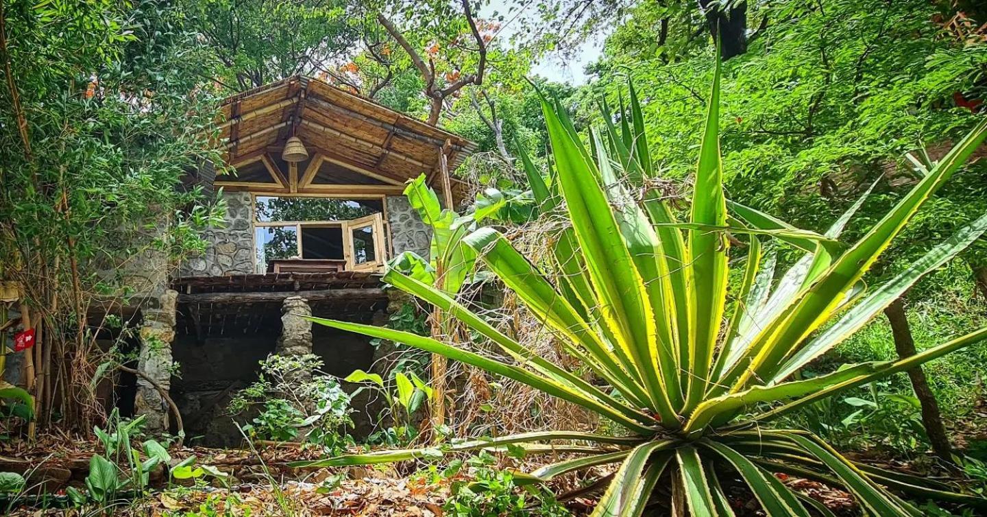 Butterfly Space- A Non-Profit Eco-Lodge Nkhata Bay Exteriör bild