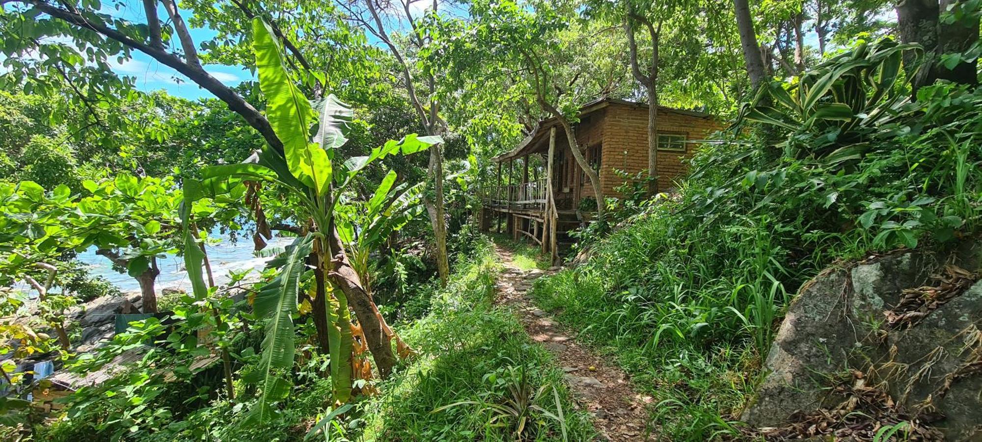 Butterfly Space- A Non-Profit Eco-Lodge Nkhata Bay Exteriör bild