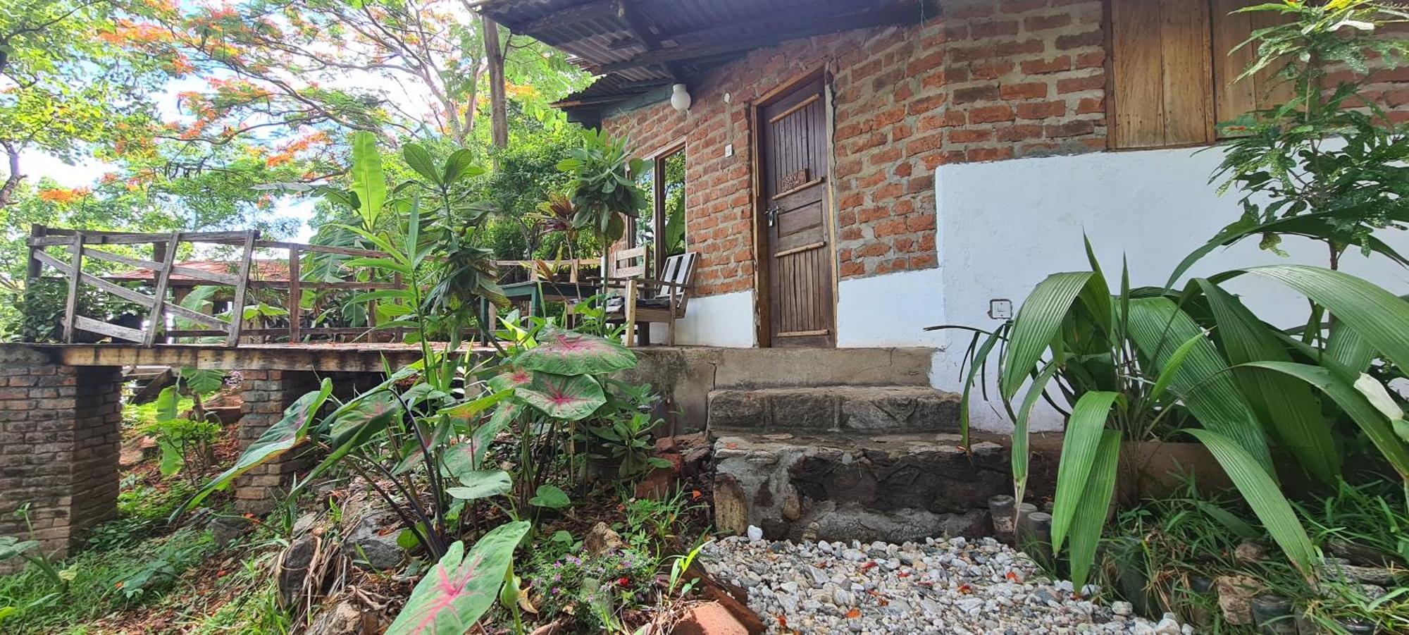 Butterfly Space- A Non-Profit Eco-Lodge Nkhata Bay Exteriör bild