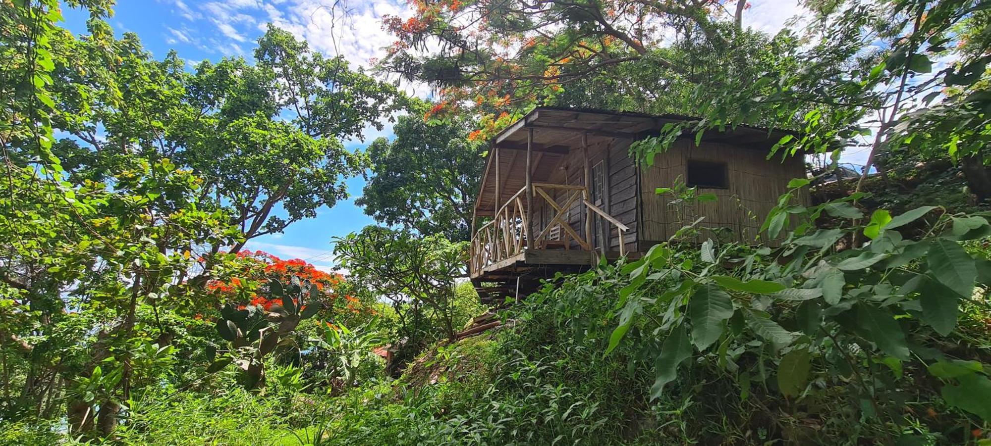 Butterfly Space- A Non-Profit Eco-Lodge Nkhata Bay Exteriör bild