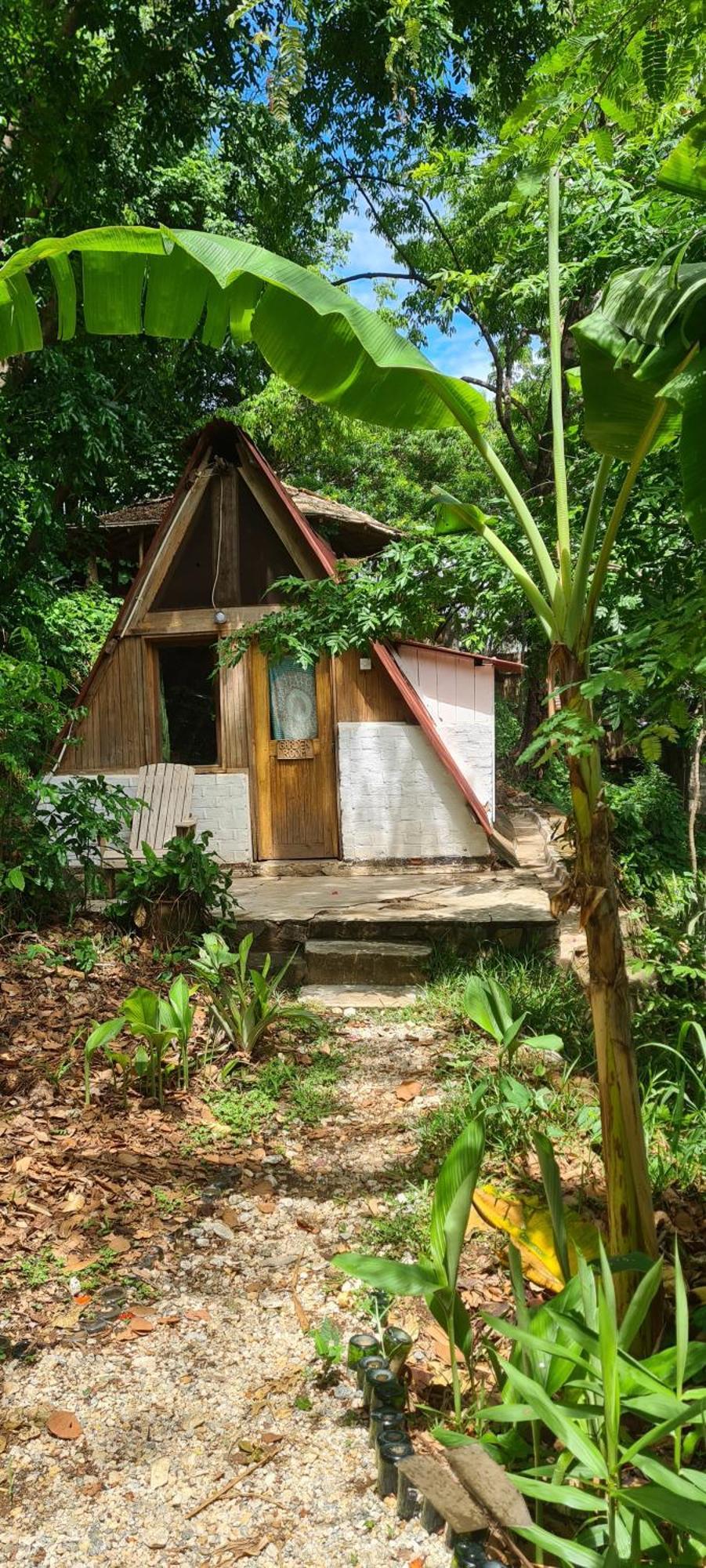 Butterfly Space- A Non-Profit Eco-Lodge Nkhata Bay Exteriör bild